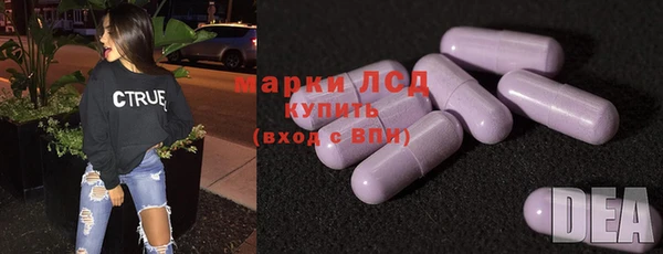 гидра Богданович