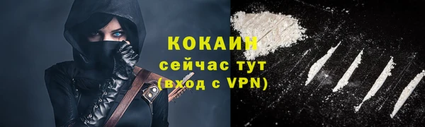 гидра Богданович