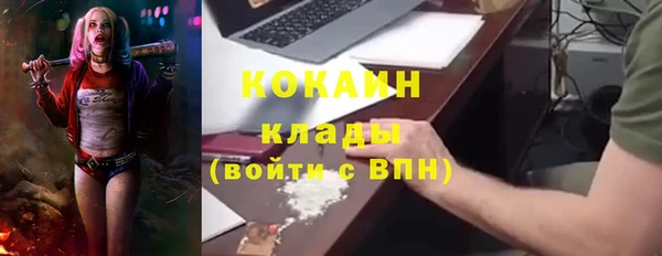 гидра Богданович