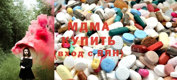 гидра Богданович