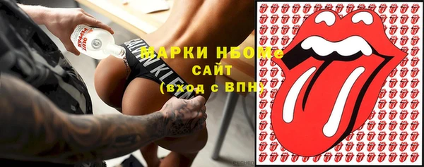 гидра Богданович