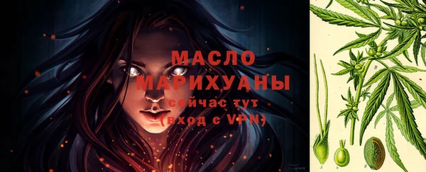 гидра Богданович