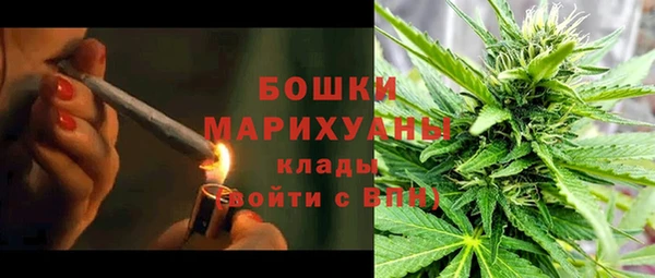 гидра Богданович