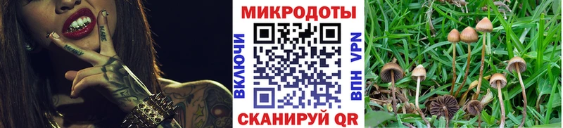 Псилоцибиновые грибы мицелий  Череповец 